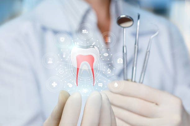 Best Traditional Braces  in Watertown, NY